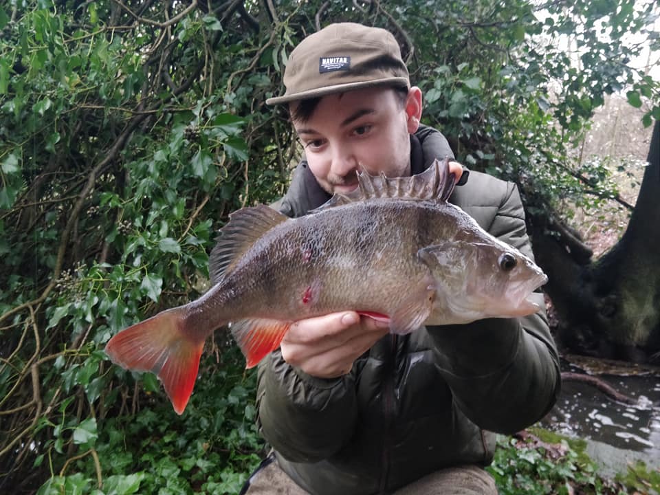 Perch Object Life on the Bank