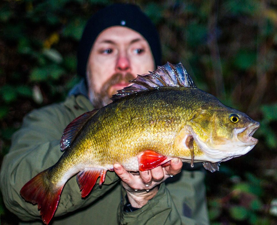 Perch Object Life on the Bank