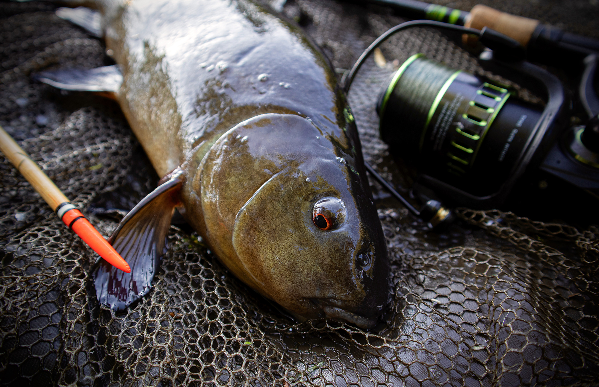 $1000 fishing pole Okuma Outrax Spinning Combo