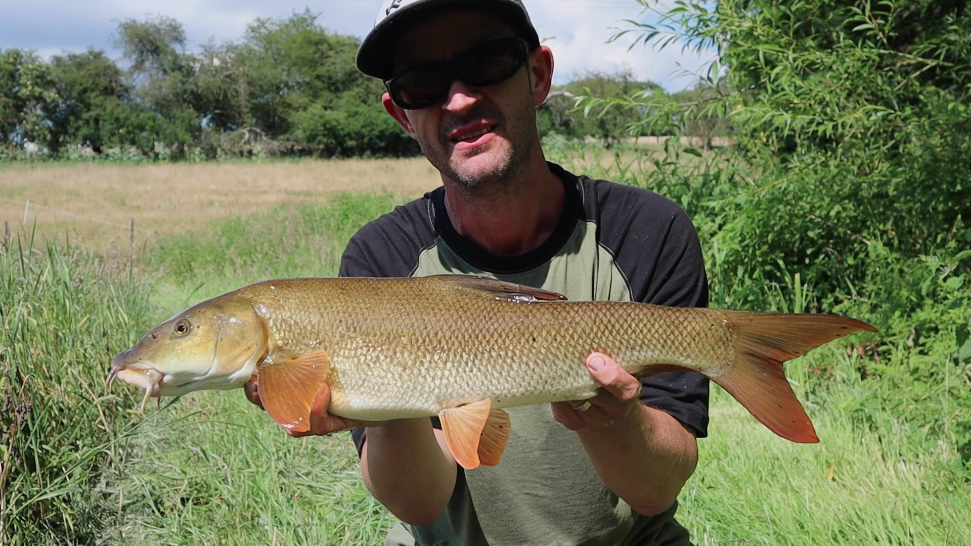 best reel line for barbel fishing Korum Willy Worms How catch barbel: essential advice