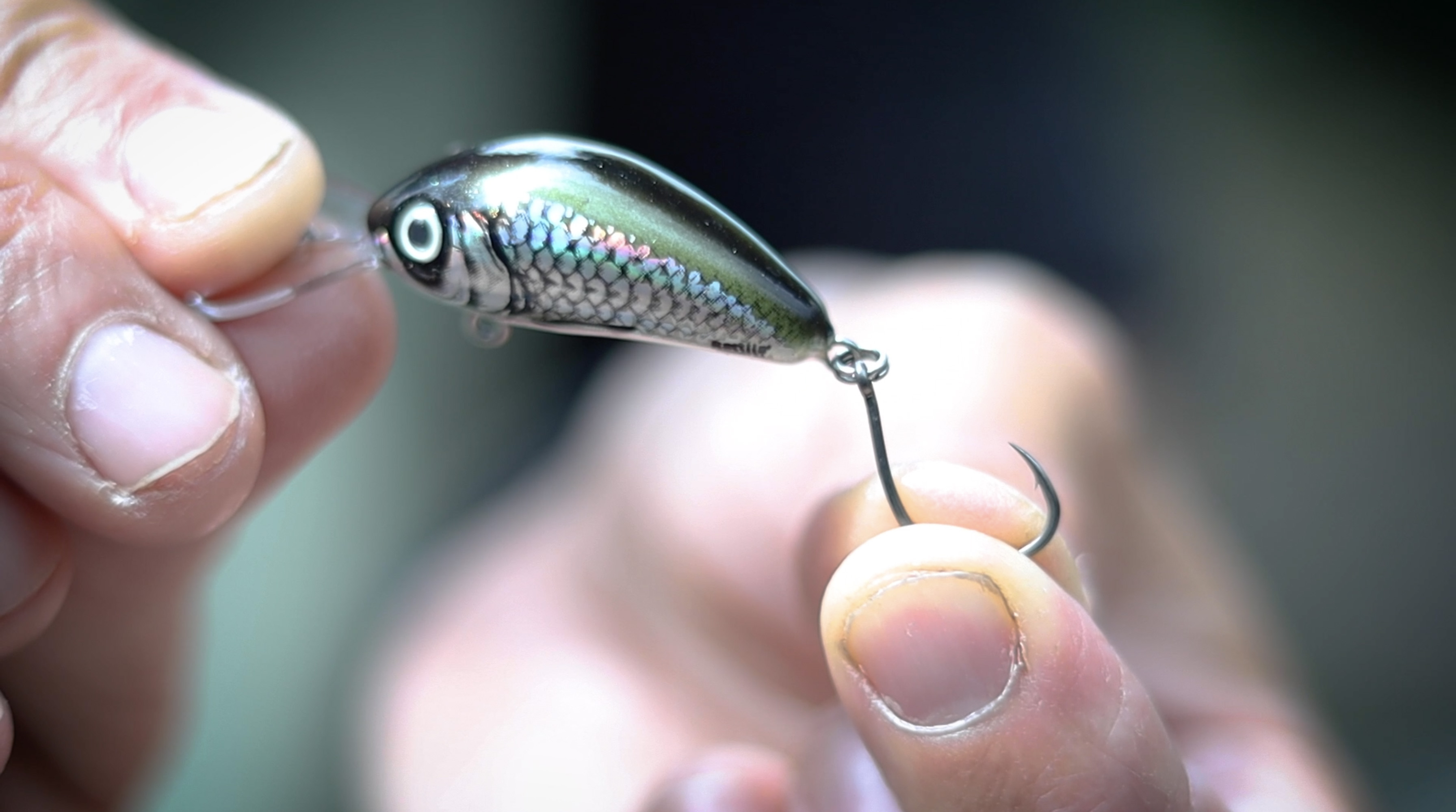 best hooks for chub fishing Chub Fishing with Lures