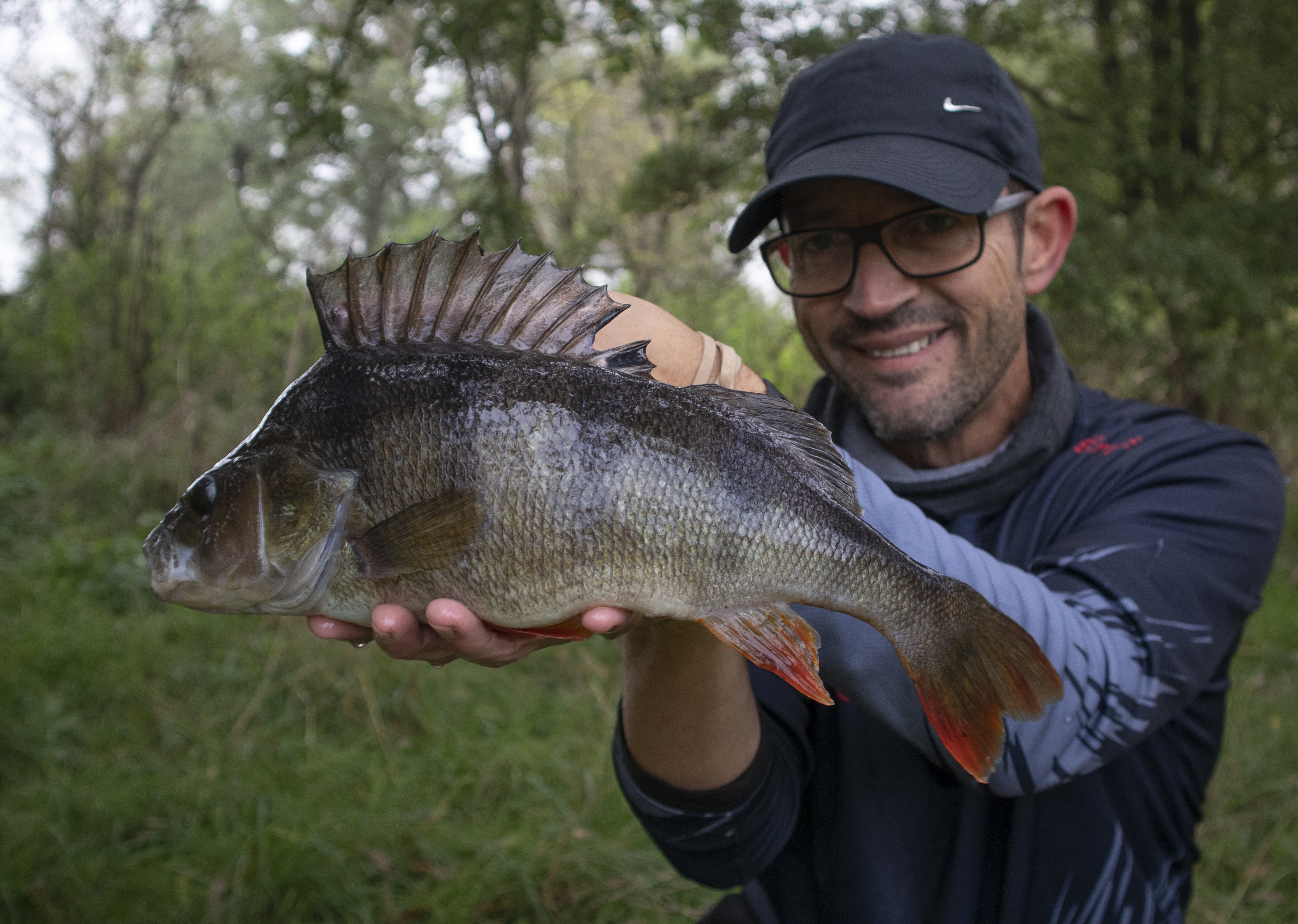 Perch Object Life on the Bank