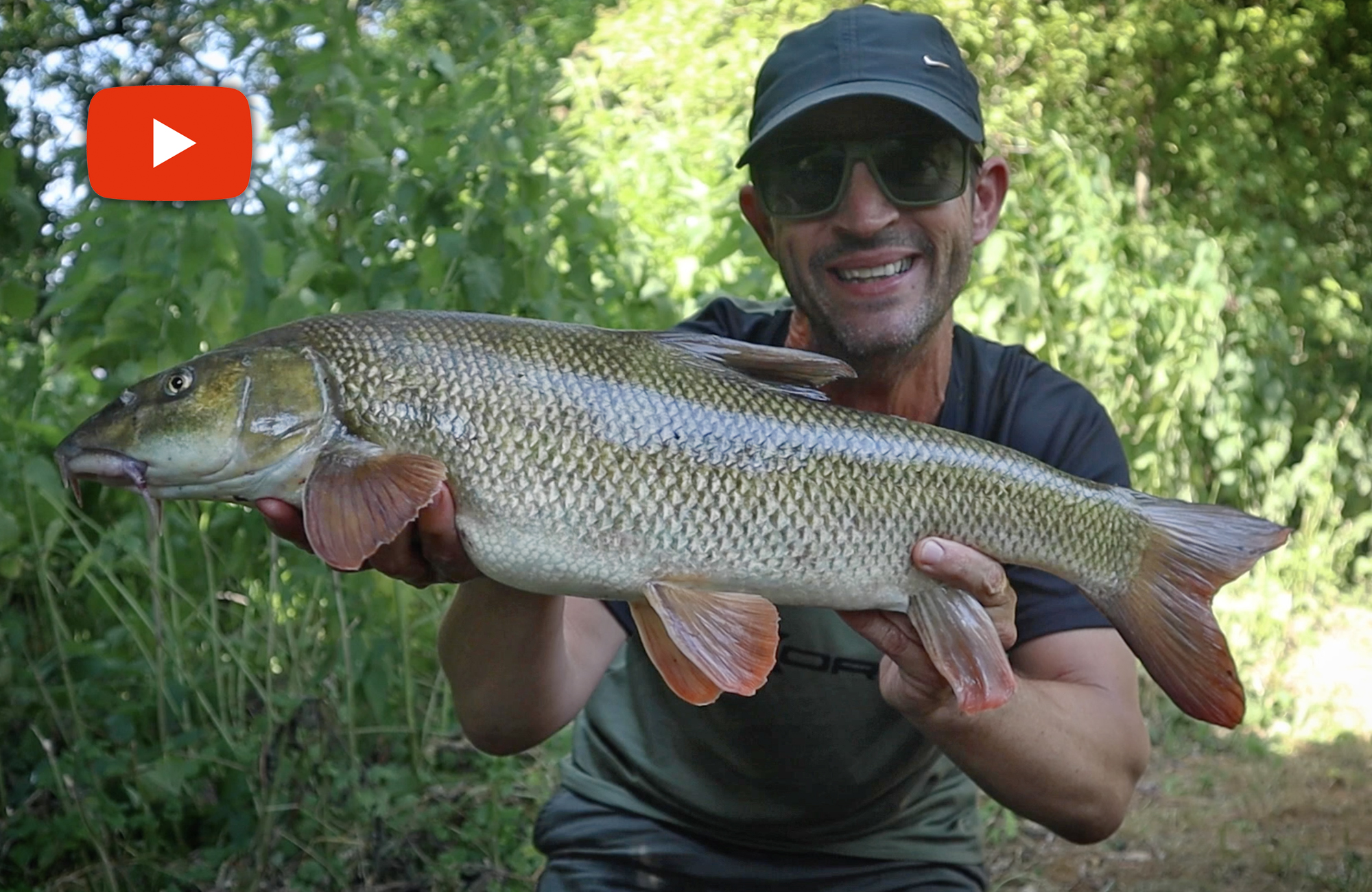 Life on the Bank