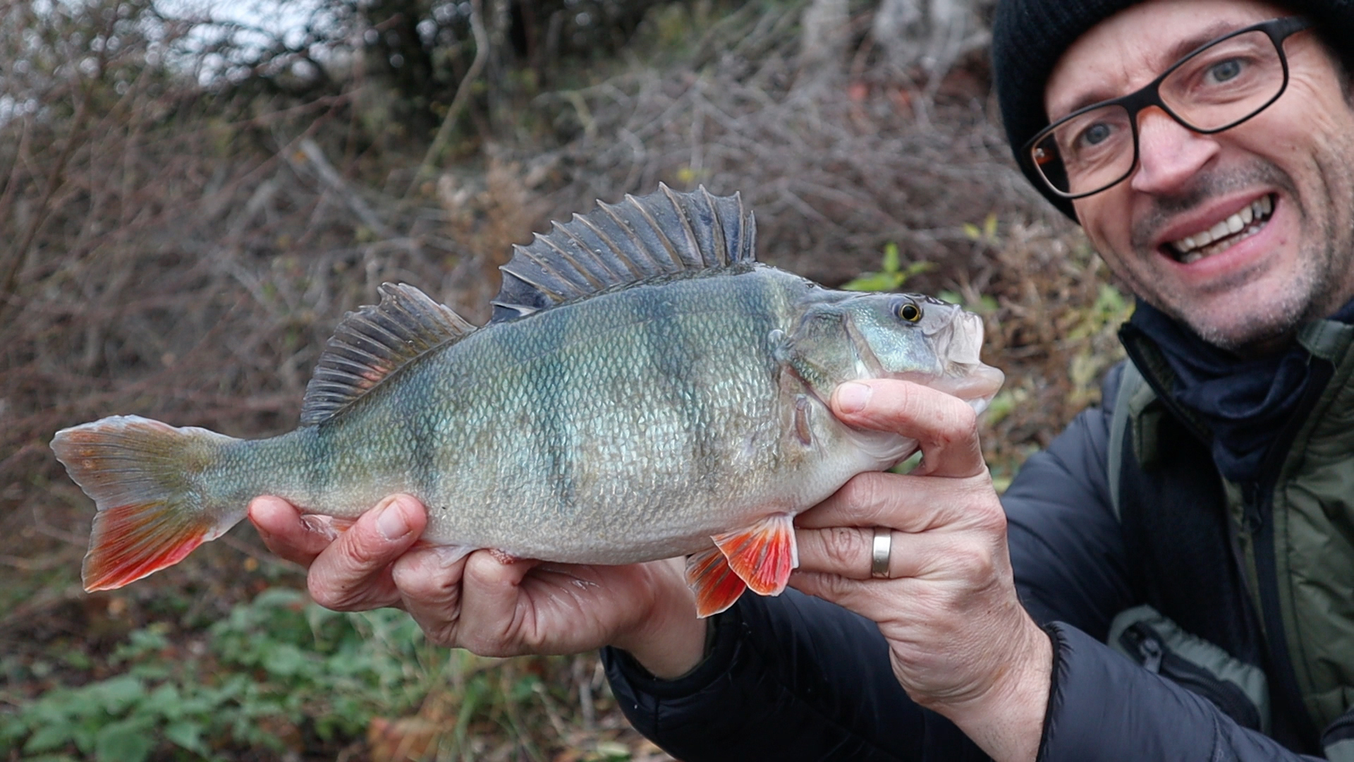 Perch Object Life on the Bank