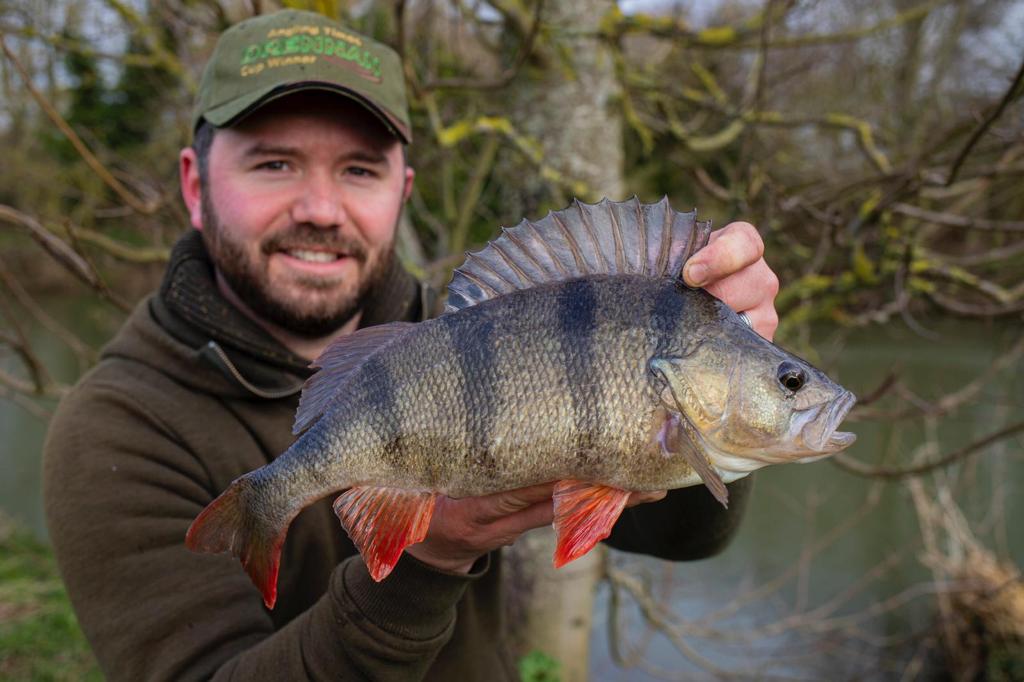 Perch Object Mark Austin Perch Fishing Masters – Lures and Top Tips | Life on the Bank