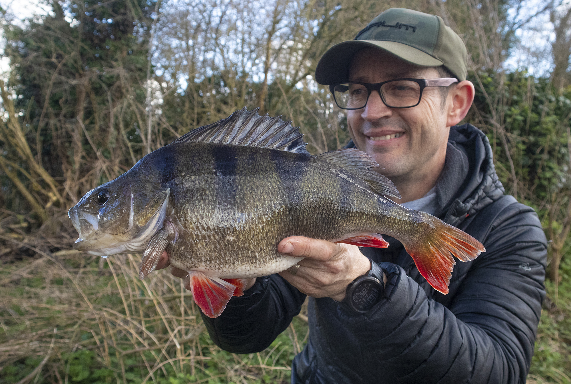 Perch Object Life on the Bank