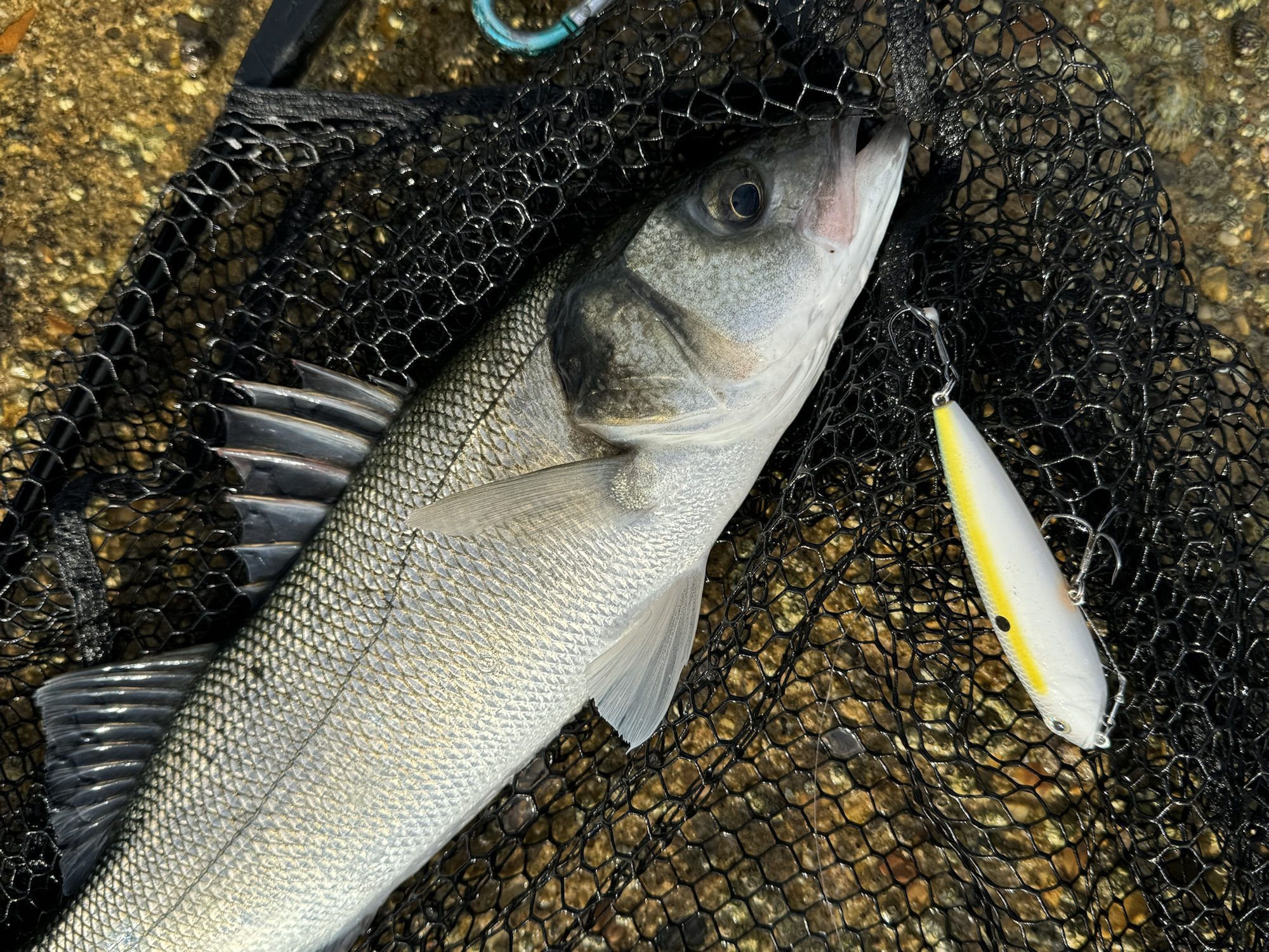 best tool for cutting fishing hooks lures Favorite hook removal tool? : r/FishingForBeginners
