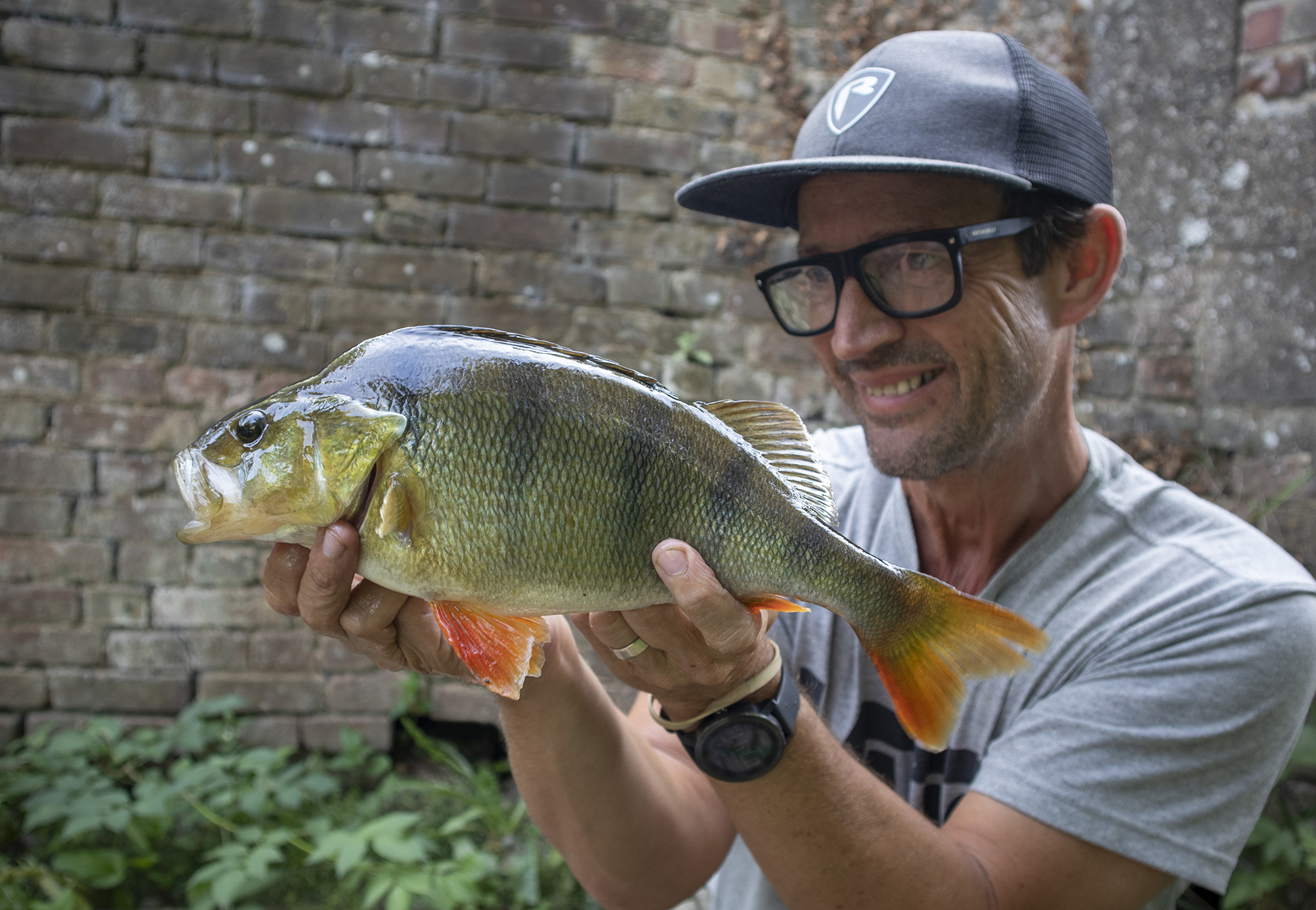 Perch Object Perch Fishing Begins | Life on the Bank