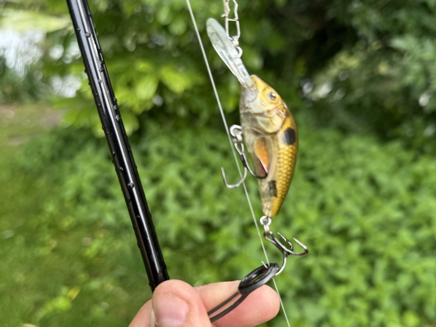 8/9 fly reel Redington Prespooled Crosswater IV Reel, Black Aku Color:SB Stumpy Jr. Glow The SLT 9/10/11 is Top 10 Baits from