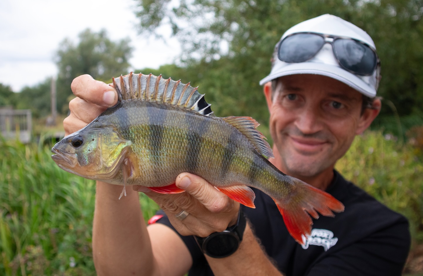 New Video - Beginners Guide to Perch Fishing