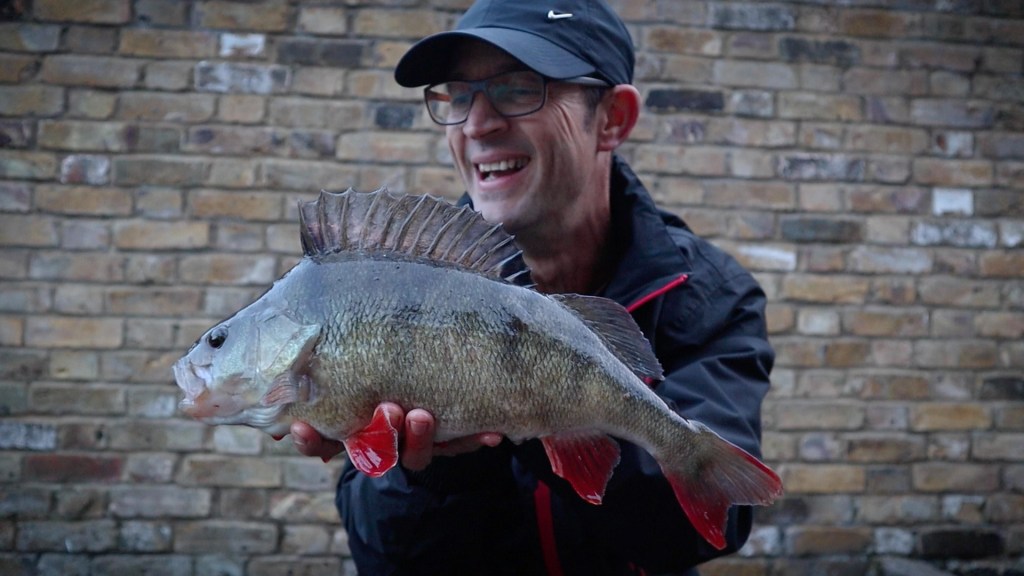 Perch Object Life on the Bank