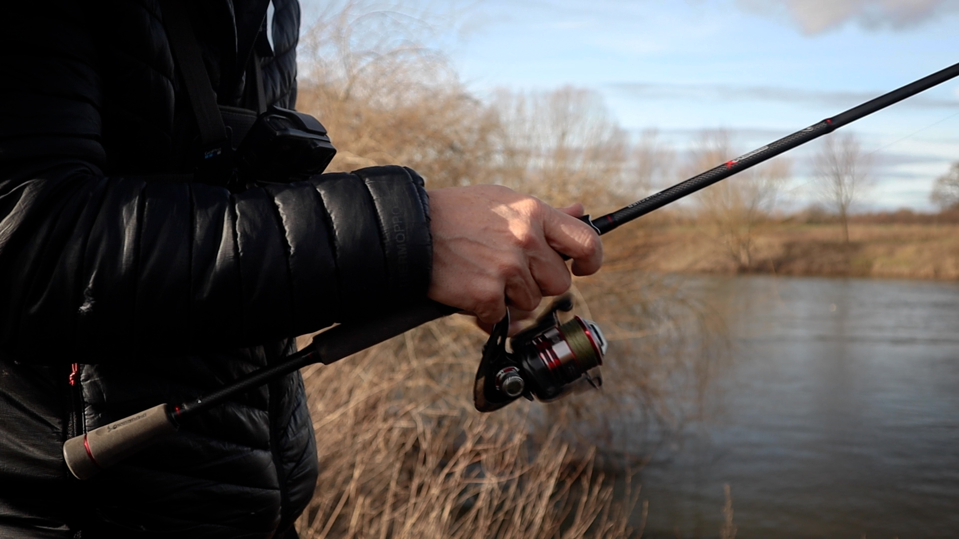 Rod Fox Life on the Bank