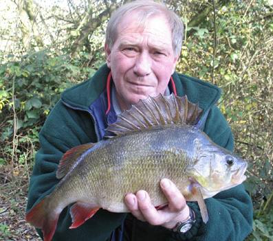 river lee lea perch