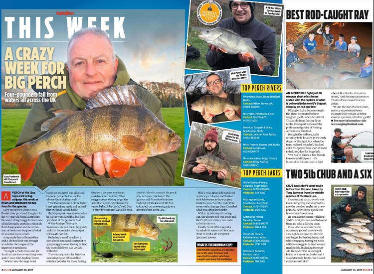 Angling Times Article perch