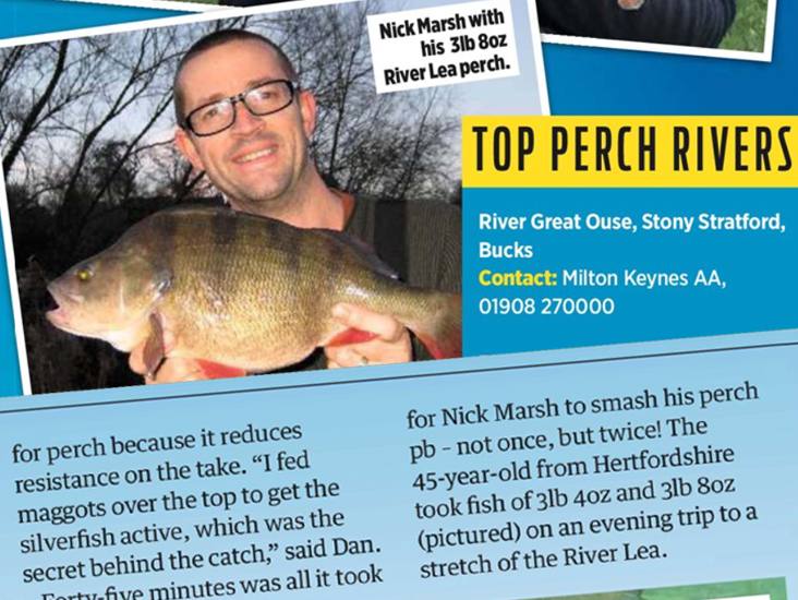 Perch Fishing with Lures