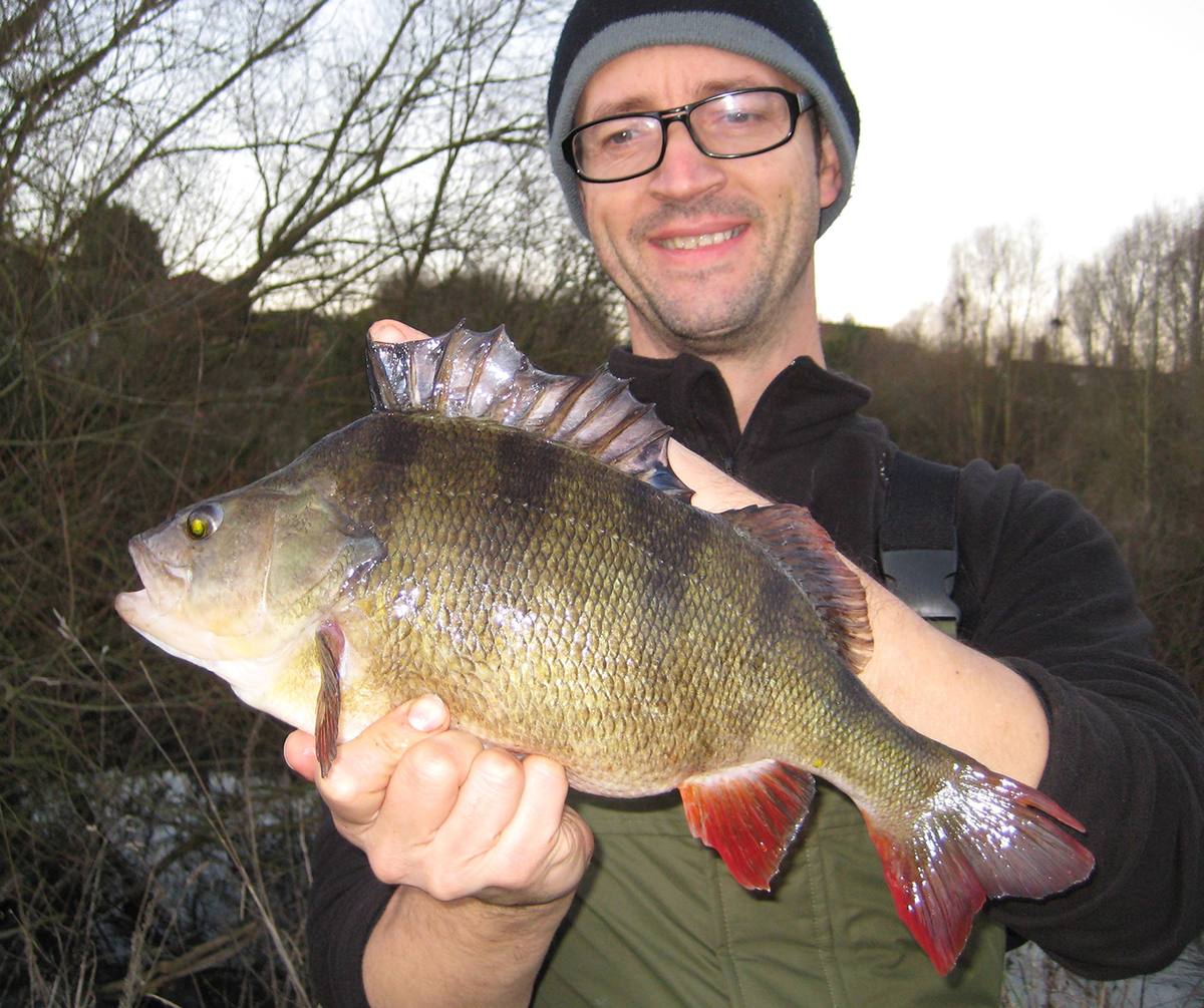 Big Perch Fishing River Lea