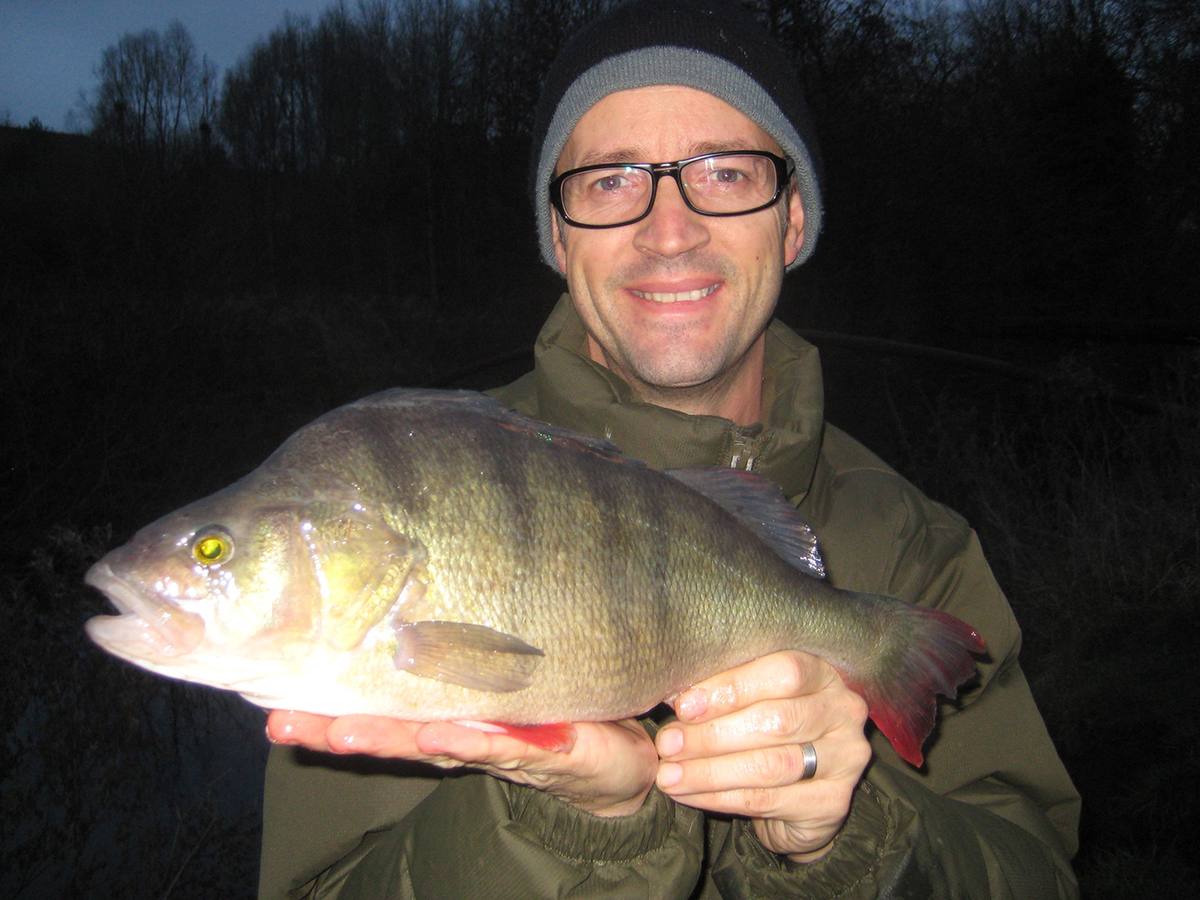 Perch Fishing Nick Marsh