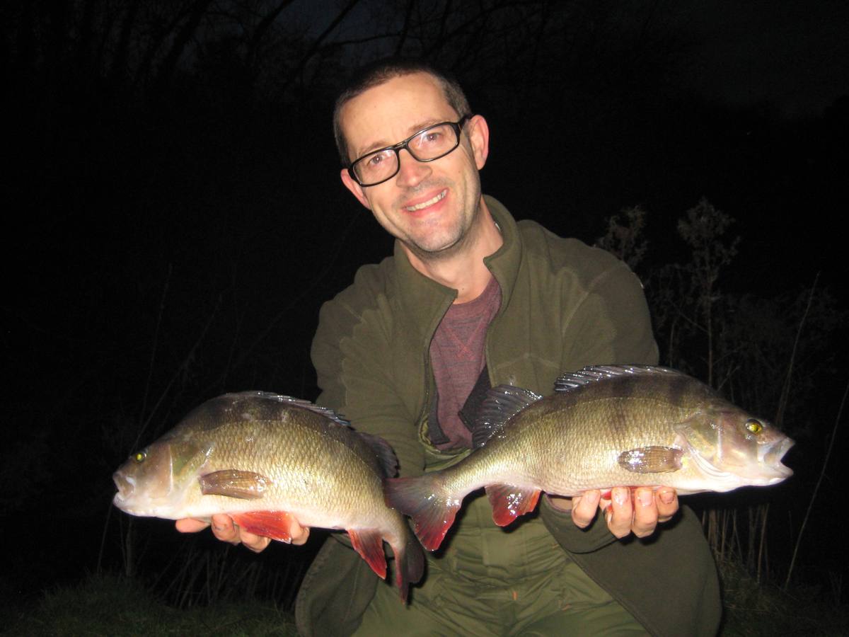Perch Fishing River Lea