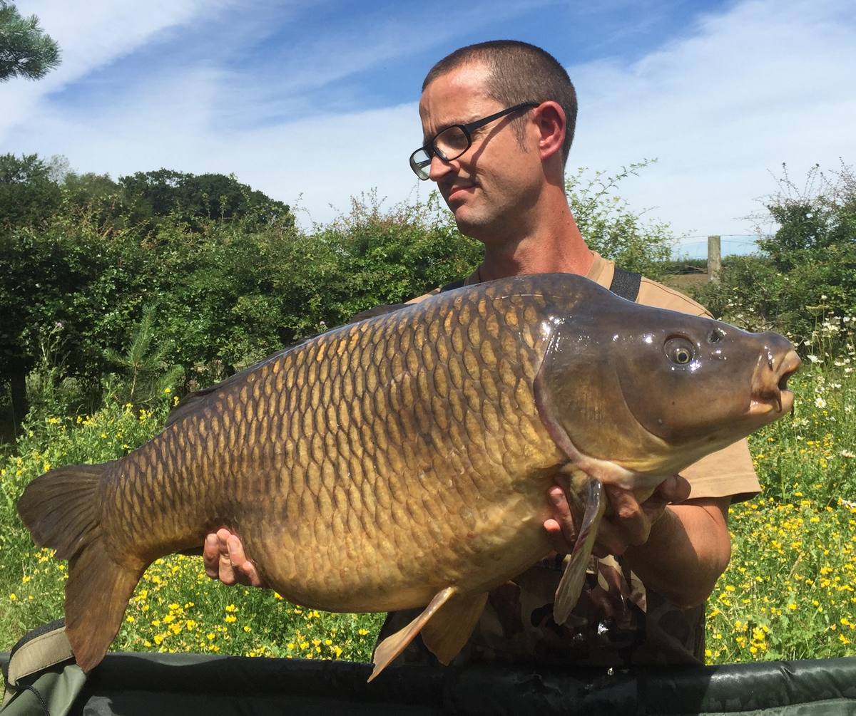 Pretty Lake Carp