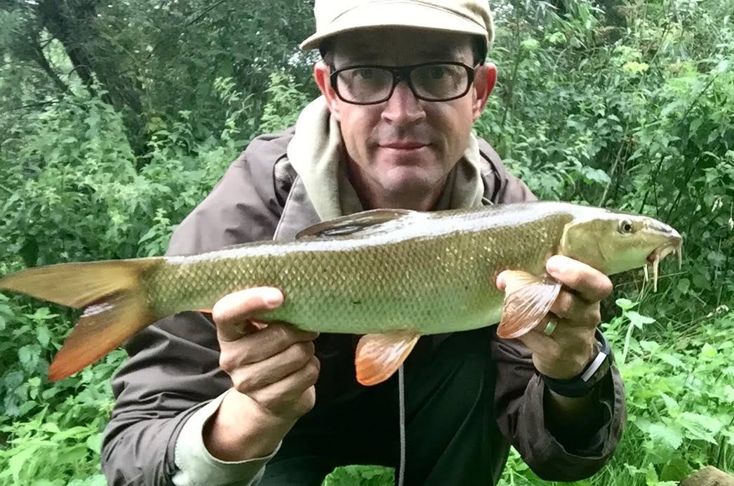 small barbel river lea