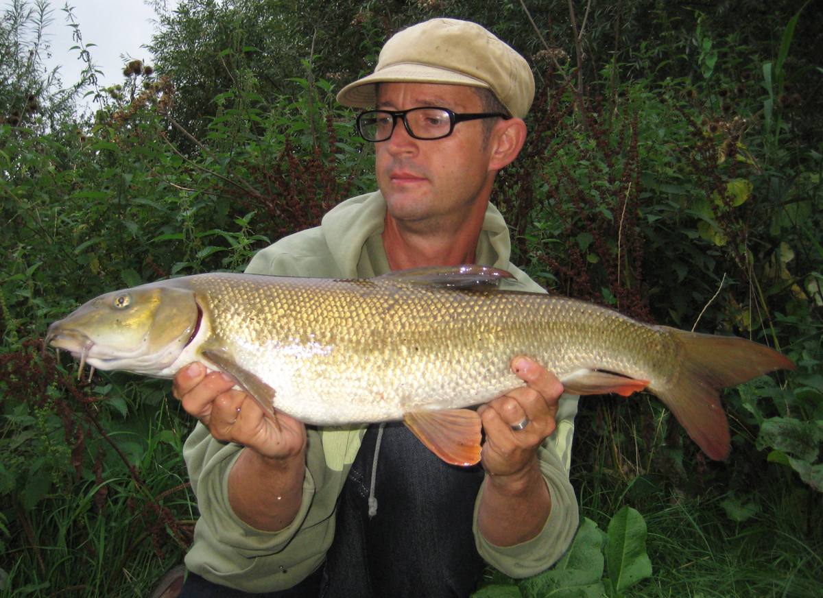 barbel fishing on the River Lea