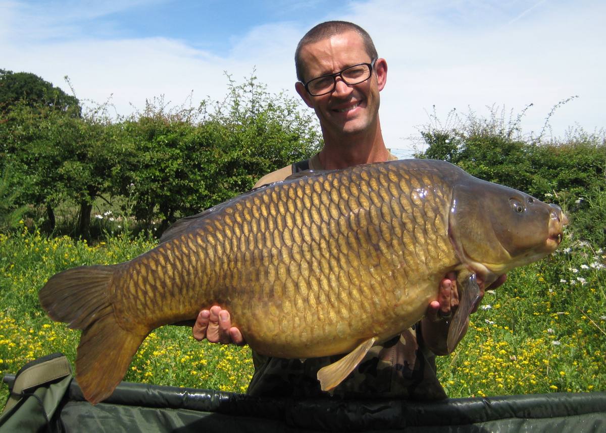 carp fryerning essex