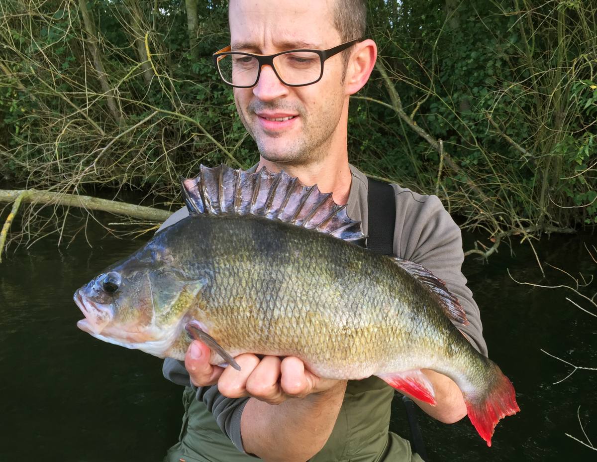 big perch lea valley