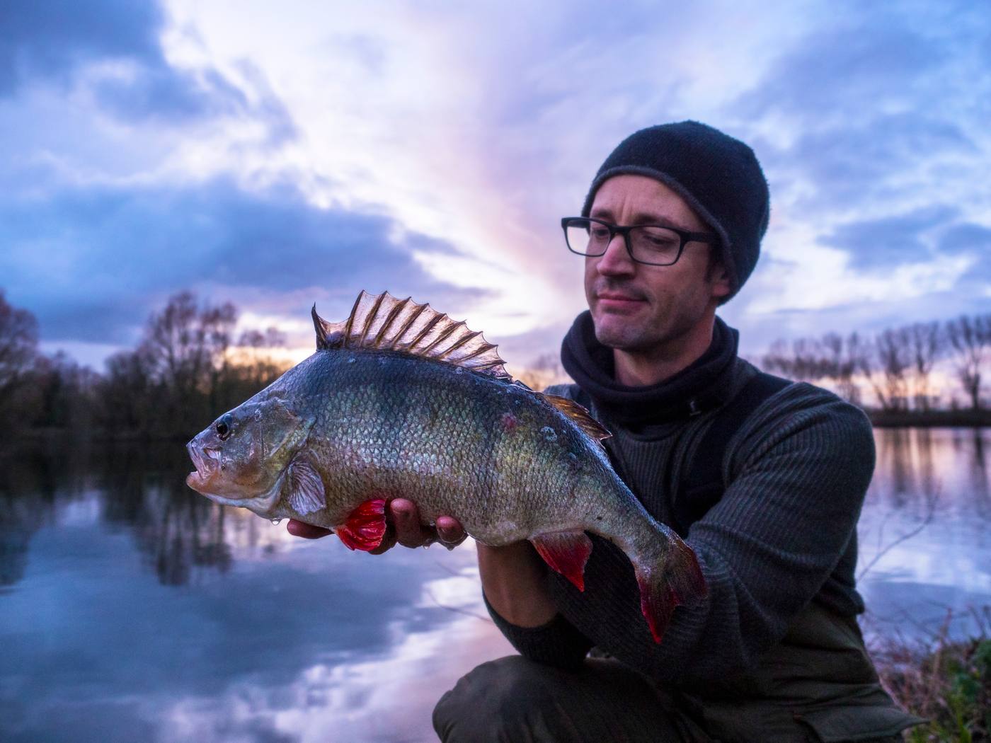 Big perch fishing in the Lea Valley and River Stort – winter 2017