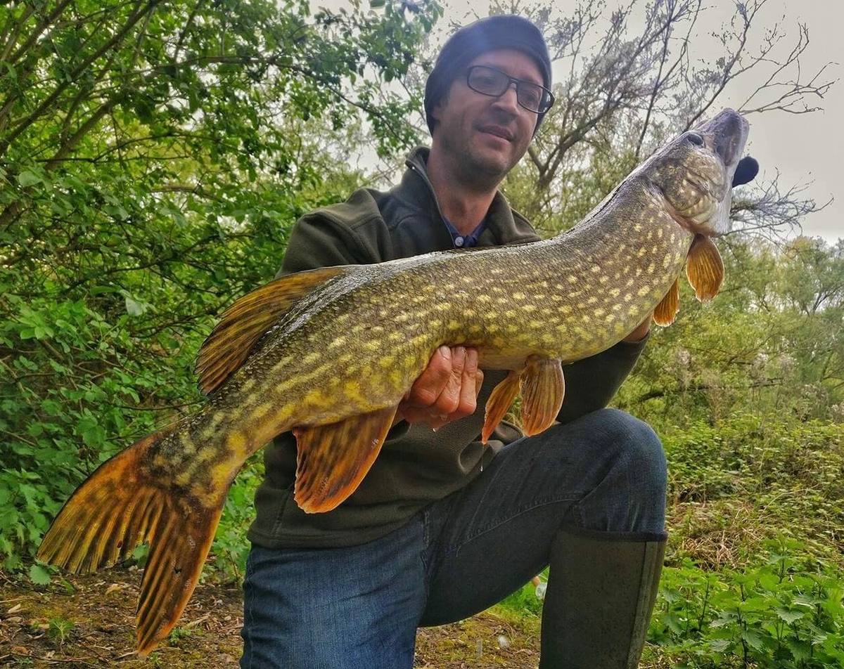 Big pike tumbling bay