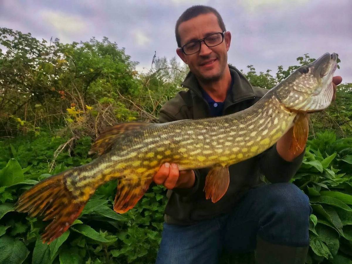 Tumbling bay lake pike