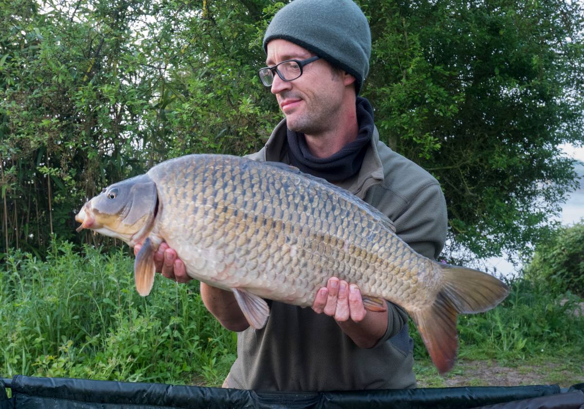 mid double common