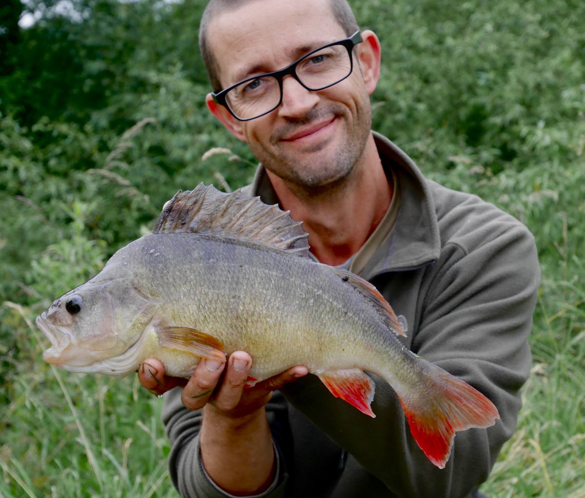 perch fishing river lea