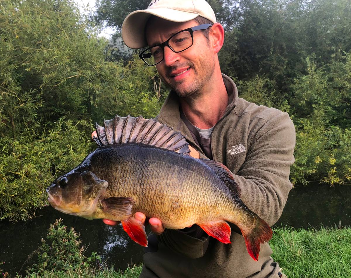 big perch fishing