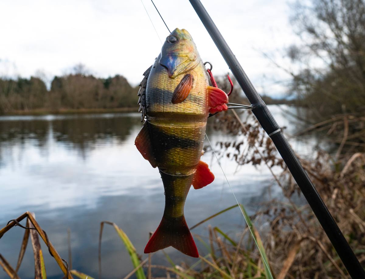 Savage Gear 3D Perch