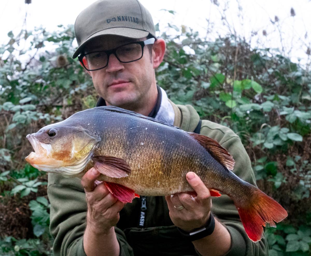 Big Perch Fishing