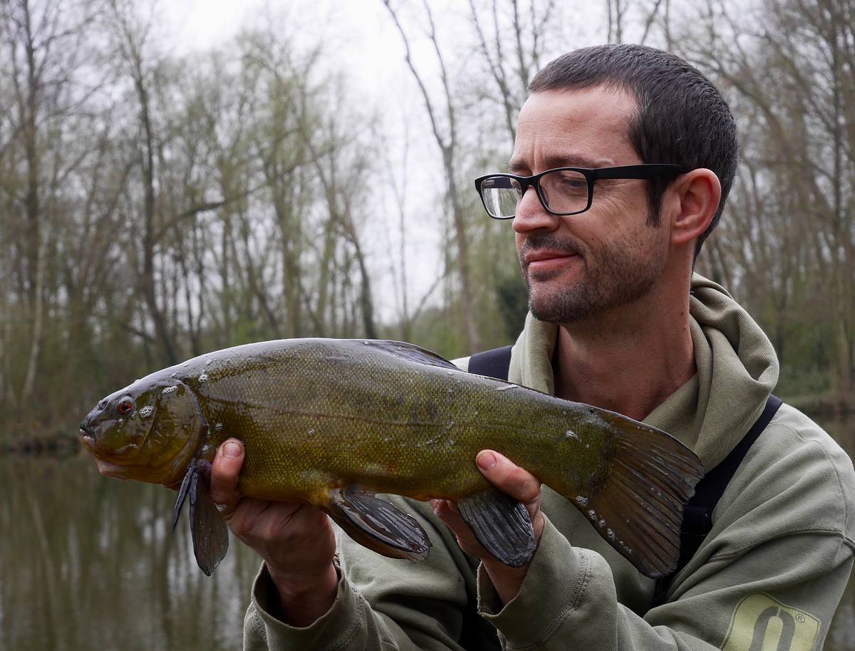 Tench Fishing in Hertfordshire