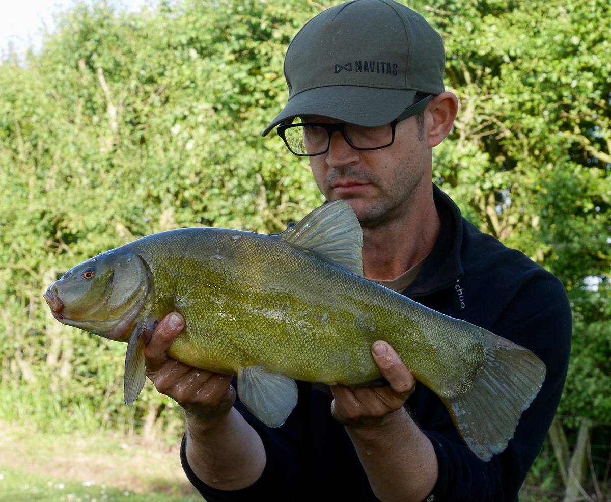 Tench Fishing Essex