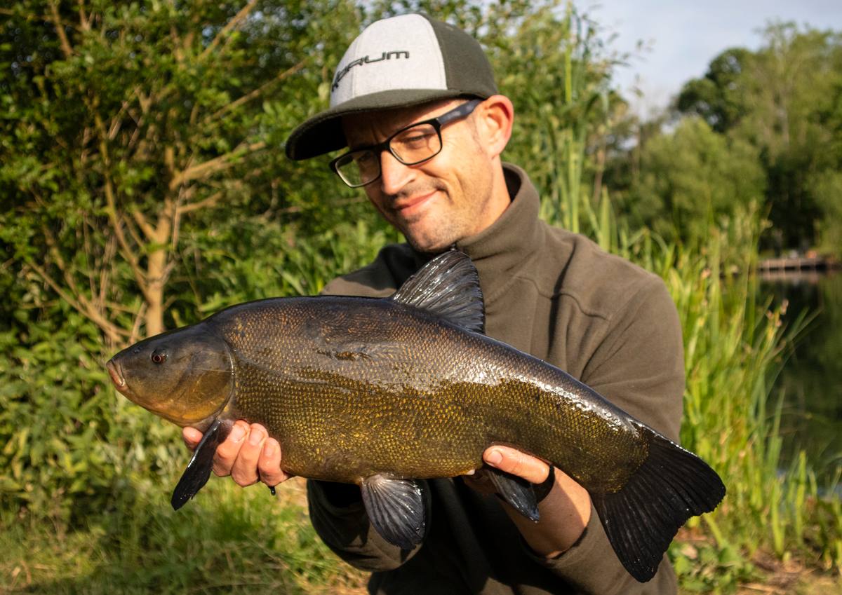Tench on Pellets
