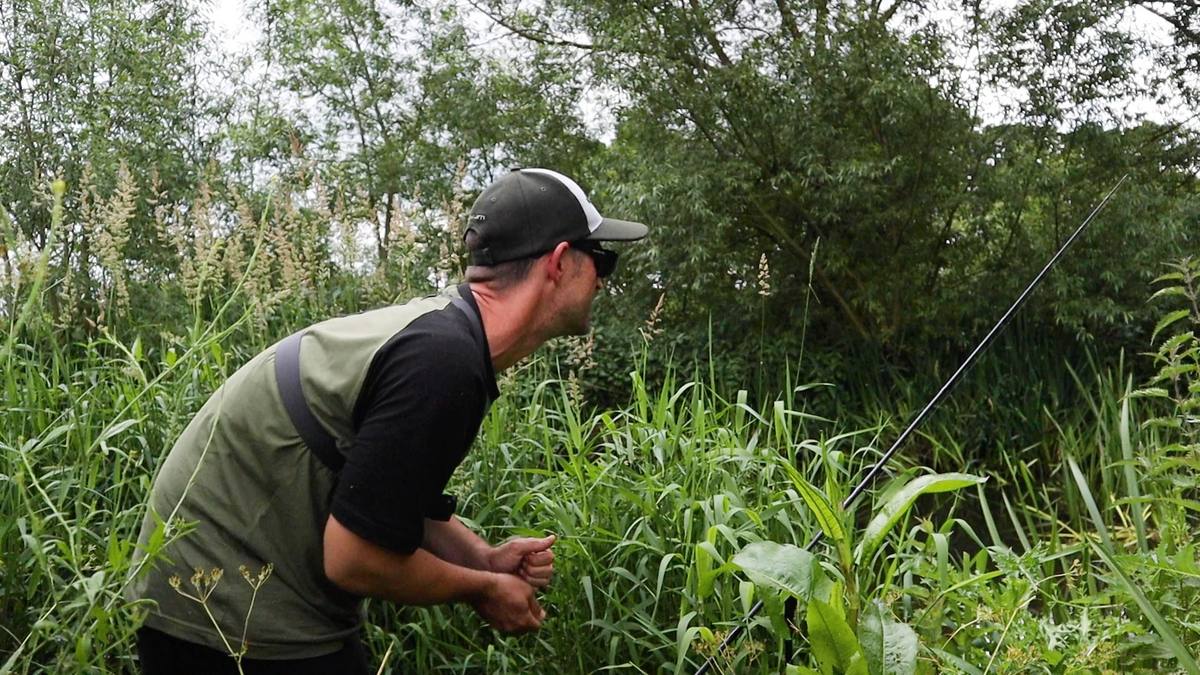 Stalking Barbel and Chub