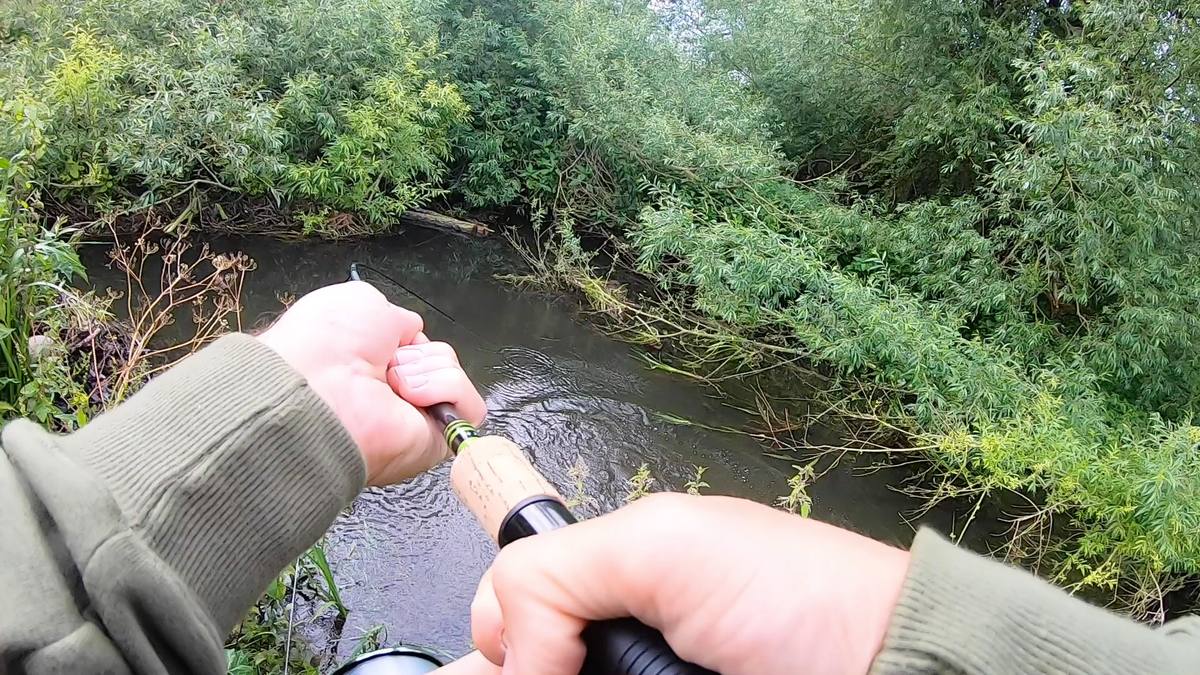Jungle Warfare Barbel