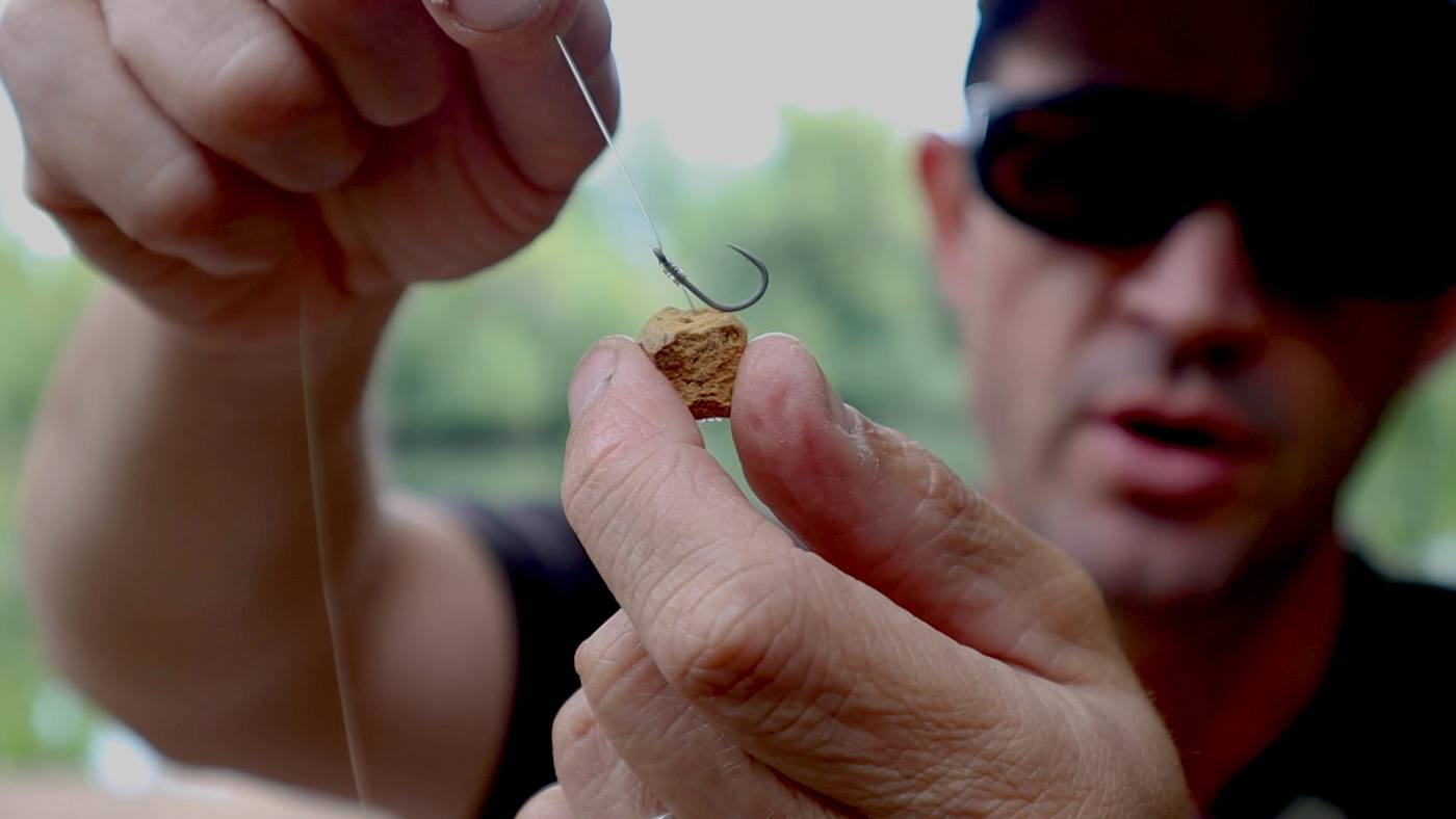 Carp fishing on the surface