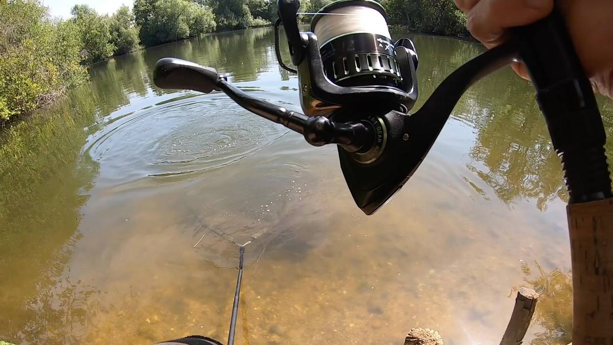 Summer carp Fishing