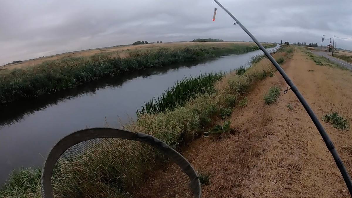 Fishing in the Fens