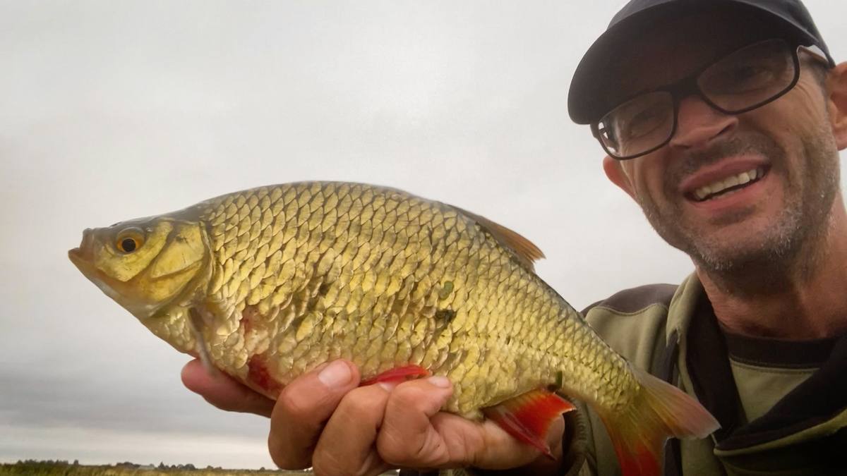 Rudd Fishing in the Fens