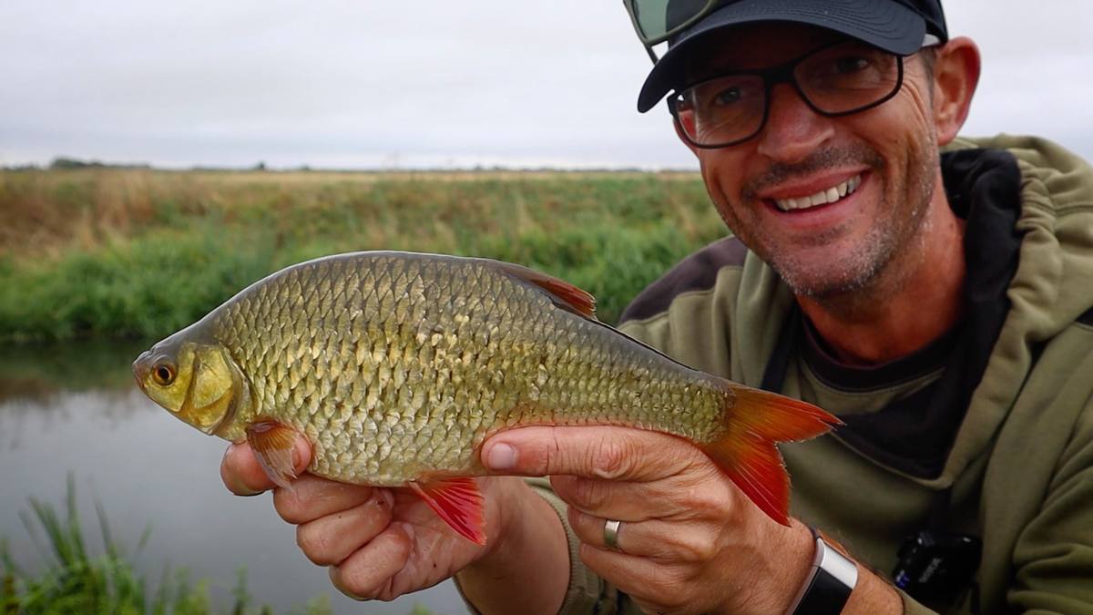 Rudd fishing in the Fens