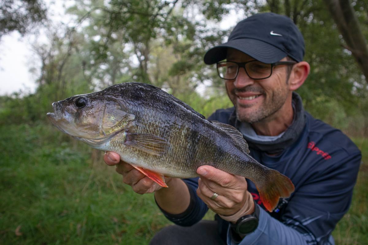 Big Perch Nick Marsh