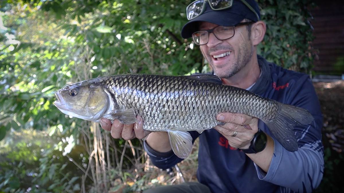 Chub Fishing with Lures