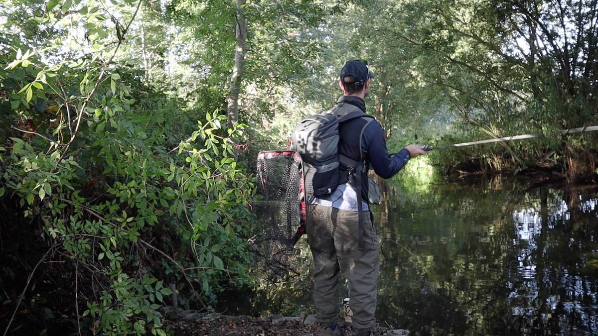River Fishing for Perch
