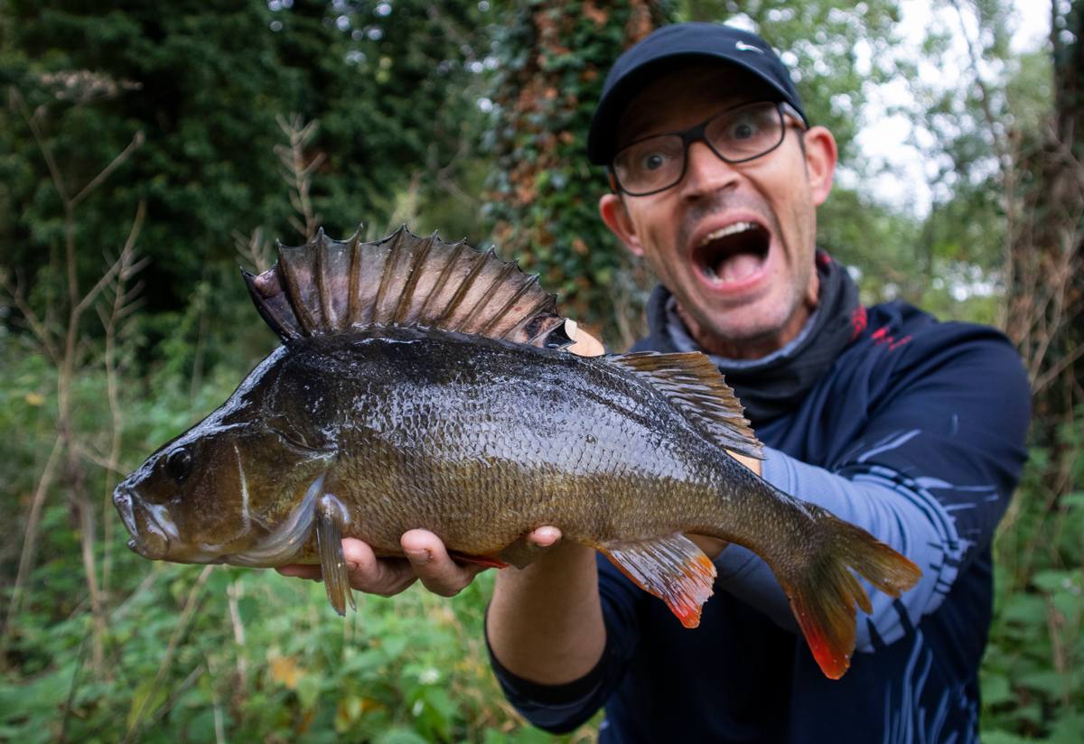 Big Perch Nick Marsh
