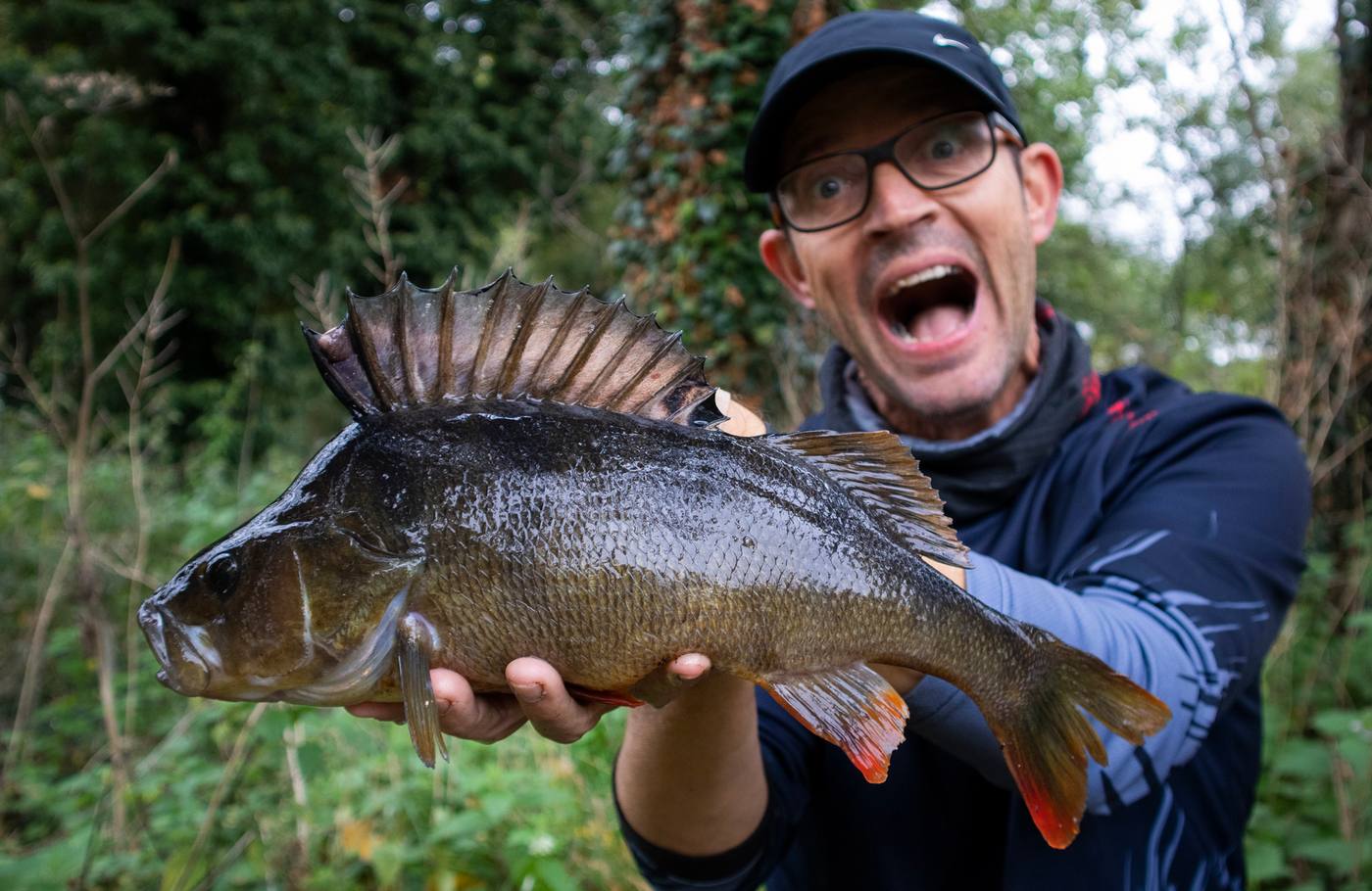Perch fishing tips